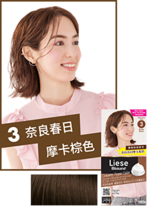 3 奈良春日摩卡棕色