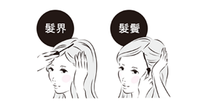 髮界 髮鬢