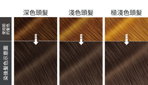 染後髮色示意圖