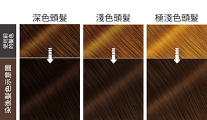 染後髮色示意圖