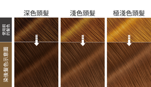 染後髮色示意圖