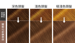 染後髮色示意圖