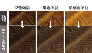 染後髮色示意圖