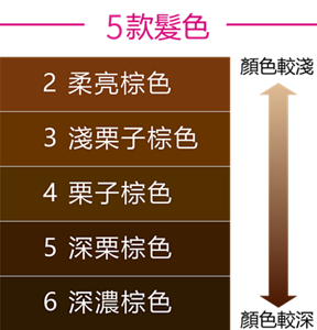 Liese Blauné 一按瞬染白髮乳霜. 髮色色調指南