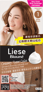 1 鳥取曙光明亮棕色