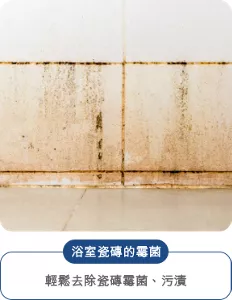 浴室瓷磚的霉菌：輕鬆去除瓷磚霉菌、污漬