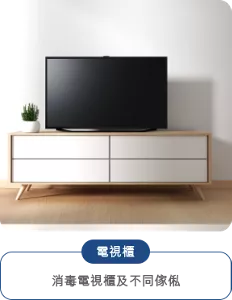 電視櫃 消毒電視櫃及不同傢俬