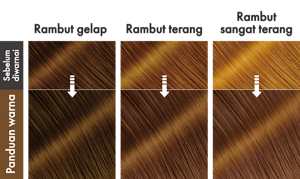 ChestnutBrown. Ilustrasi hasil akhir.