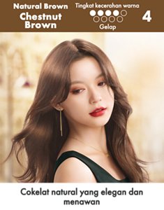 ChestnutBrown. Tingkat kecerahan warna: Hasil akhir Gelap . Skala 4 dari 9