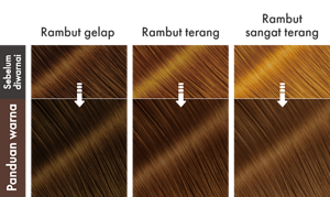 DarkChocolat. Ilustrasi hasil akhir.