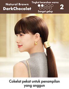 DarkChocolat. Tingkat kecerahan warna: Hasil akhir Sangat gelap. Skala 2 dari 9