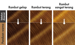 Marshmallow Brown. Ilustrasi hasil akhir.