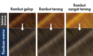 MidnightAsh. Ilustrasi hasil akhir.