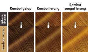 MilkteaBrown. Ilustrasi hasil akhir.