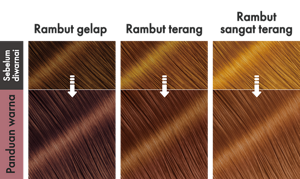 Rose Tea Brown. Ilustrasi hasil akhir.