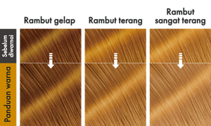 AmberBrown. Ilustrasi hasil akhir.