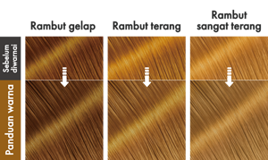 RichCocoa. Ilustrasi hasil akhir.