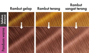 StarlightRose. Ilustrasi hasil akhir.