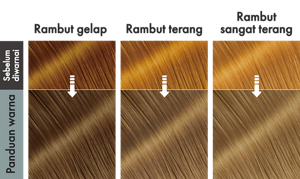 StarryAsh. Ilustrasi hasil akhir.