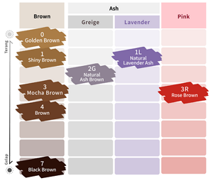 Liese Blauné Creamy Foam Color. Color Chart.