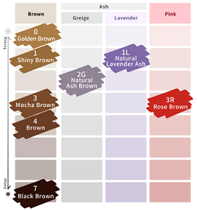 Liese Blauné Creamy Foam Color. Color Chart.