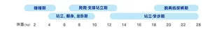 睡睡期／站立、翻身、坐卧期／爬爬·支撑站立期／站立·学步期／脱离纸尿裤期　体重（kg）2〜28