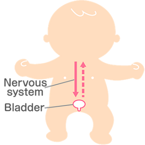 toilet_basic01_img_01