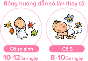 Nappy changes: How often to change?  Newborns:10 - 12 times/day  S size:8 - 10 times/day