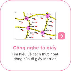 Công nghệ tã giấy　Tìm hiểu về cách thức hoạt động của tã giấy Merries