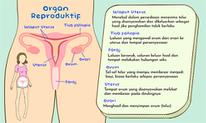 index_content-02-02-s