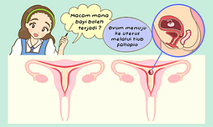 index_content-02-04-s