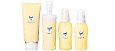 2000 Curél's facial care series is launched in Japan.
