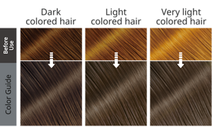 Silvery Ash Gray. After use hair image.