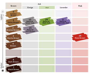 Liese Blauné Creamy Foam Color. Color Chart.