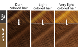 Natural Light Brown. After use hair image.