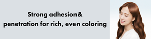 Strong adhesion&penetration for rich, even coloring