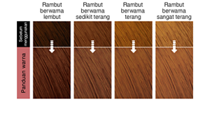 Rose Tea Brown. Imej rambut selepas penggunaan