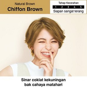 Chiffon Brown. Tahap Kecerahan: Sederhana Terang. 5 daripada 5
