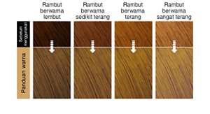 Chiffon Brown. Imej rambut selepas penggunaan