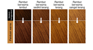 Marshmallow Brown. Imej rambut selepas penggunaan