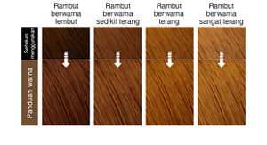 Chestnut Brown. Imej rambut selepas penggunaan