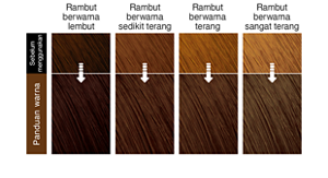Dark Chocolat. Imej rambut selepas penggunaan