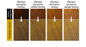 Milky Beige. Imej rambut selepas penggunaan