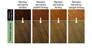 Olive Ash. Imej rambut selepas penggunaan