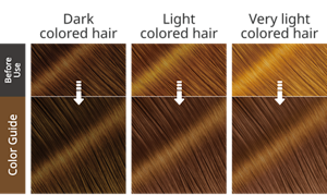 Chestnut Brown. Imej rambut selepas penggunaan.