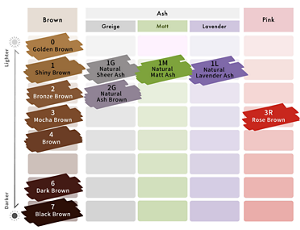 Liese Blauné Creamy Foam Color. Carta warna.