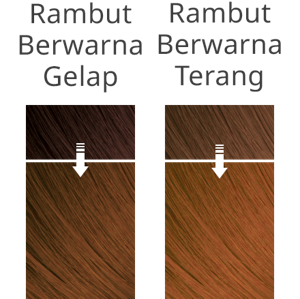 Imej rambut selepas mewarna dengan CLEAR BROWN pada rambut gelap dan rambut terang