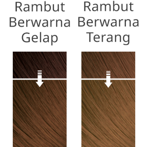 Imej rambut selepas mewarna dengan MATT ASH pada rambut gelap dan rambut terang