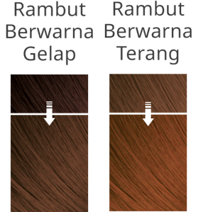 Imej rambut selepas mewarna dengan NATURAL BROWN pada rambut gelap dan rambut terang