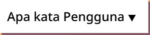 Apa kata Pengguna